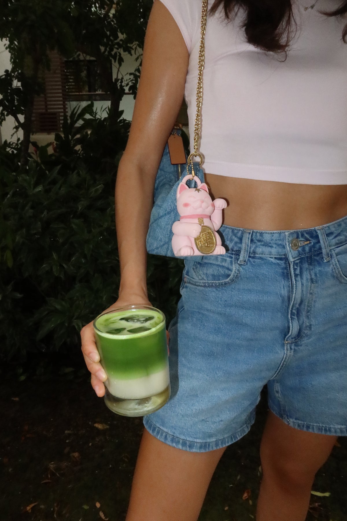 EDICIÓN ESPECIAL MATCHA 100 GRAMOS + LUCKY CAT.